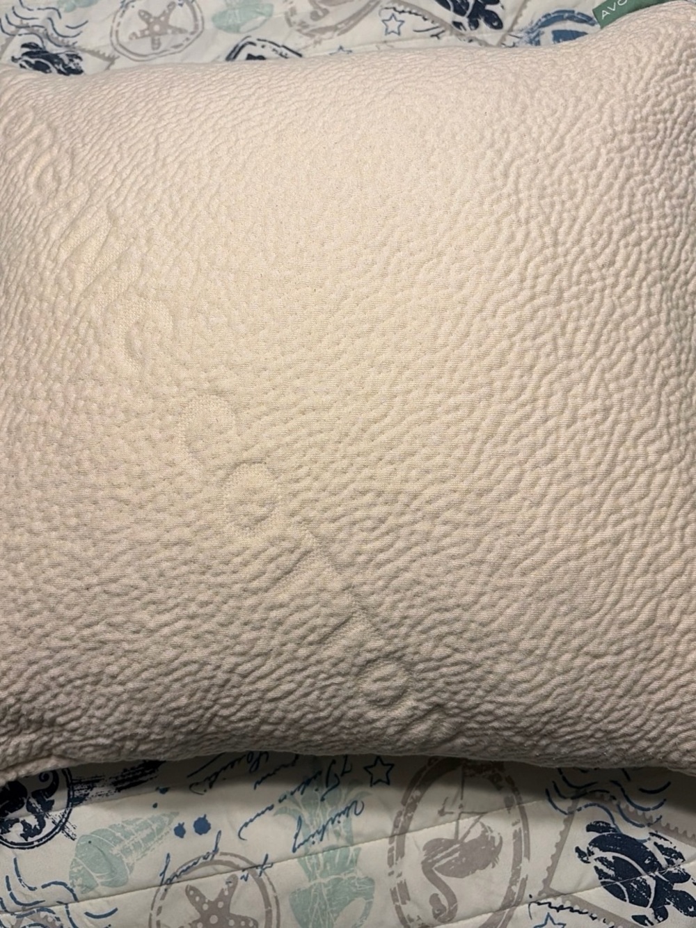 Avocado organic cotton pillow